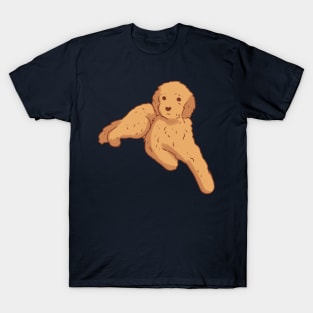 Cute Golden doodle T-Shirt